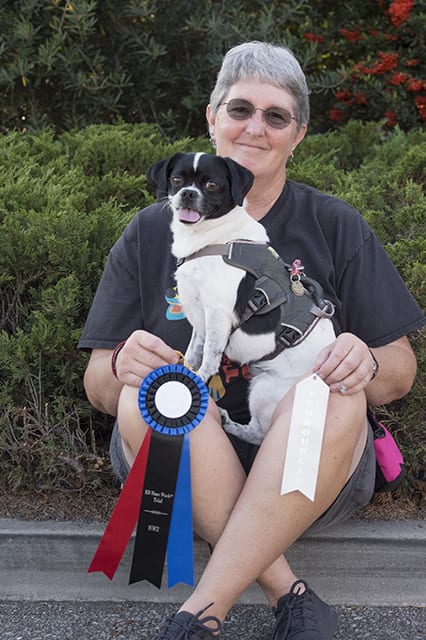 Tripawd Elly and Karen Nosework Champs
